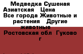 Медведка Сушеная Азиатская › Цена ­ 1 400 - Все города Животные и растения » Другие животные   . Ростовская обл.,Гуково г.